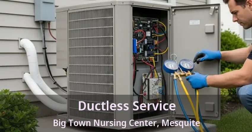 Ductless Service Big Town Nursing Center, Mesquite - TX