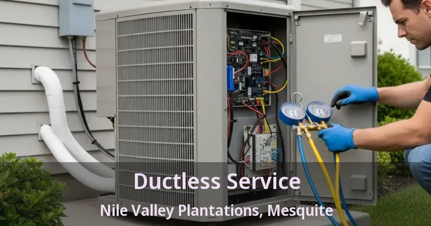 Ductless Service Nile Valley Plantations, Mesquite - TX