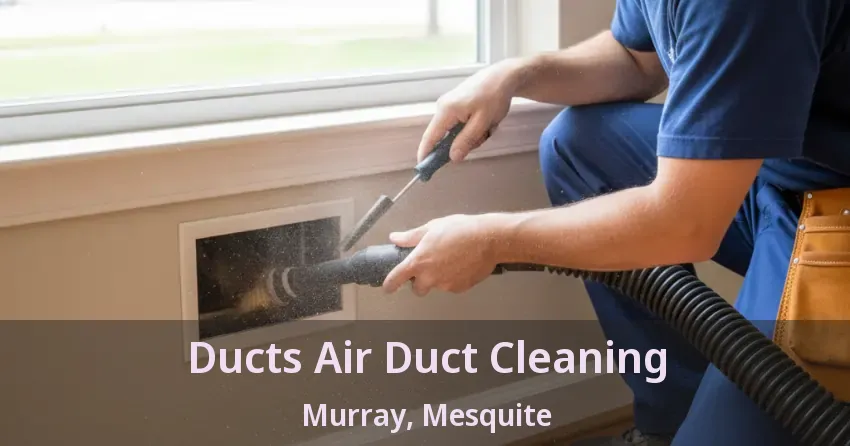 Ducts Air Duct Cleaning Murray, Mesquite - TX Ducts Air Duct Cleaning Murray, Mesquite - TX