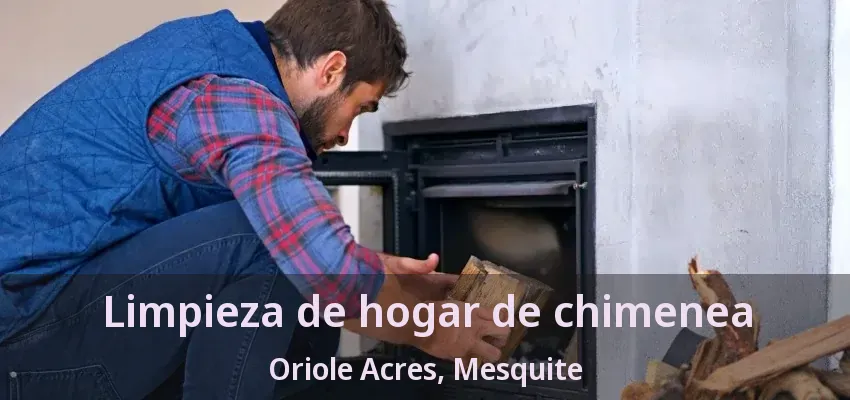 Limpieza de hogar de chimenea Oriole Acres, Mesquite - TX