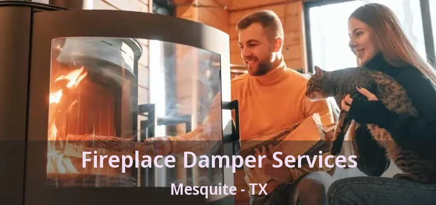 Fireplace Damper Services Mesquite - TX