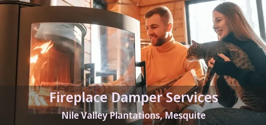 Fireplace Damper Services Nile Valley Plantations, Mesquite - TX