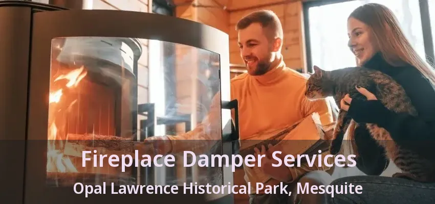 Fireplace Damper Services Opal Lawrence Historical Park, Mesquite - TX