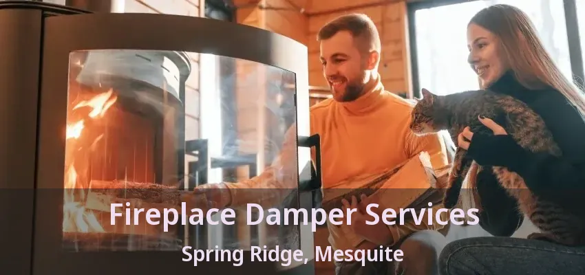 Fireplace Damper Services Spring Ridge, Mesquite - TX