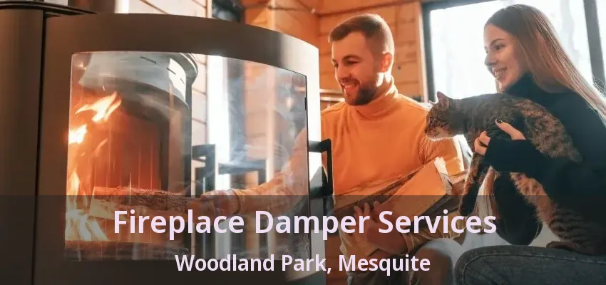 Fireplace Damper Services Woodland Park, Mesquite - TX