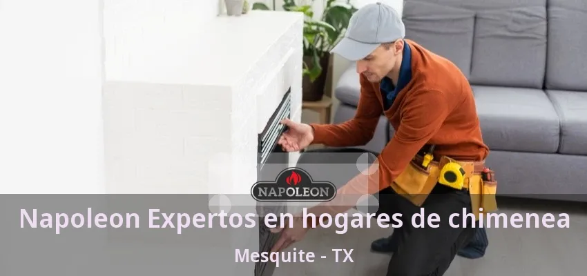 Napoleon Expertos en hogares de chimenea Mesquite - TX