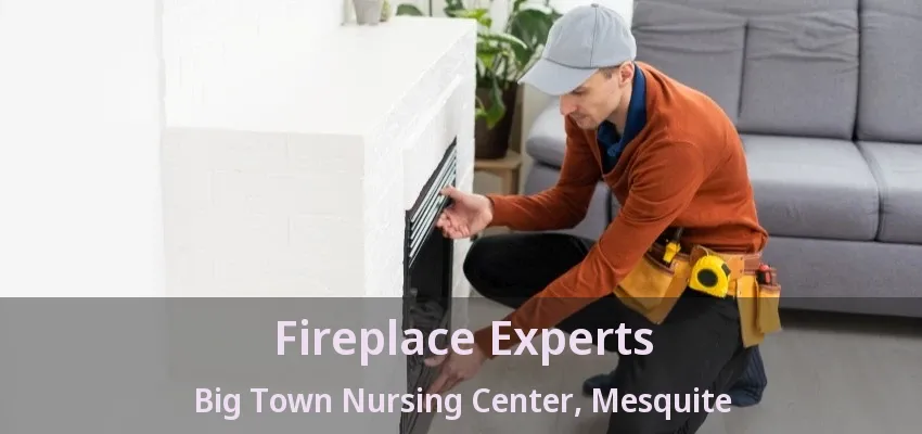 Fireplace Experts Big Town Nursing Center, Mesquite - TX