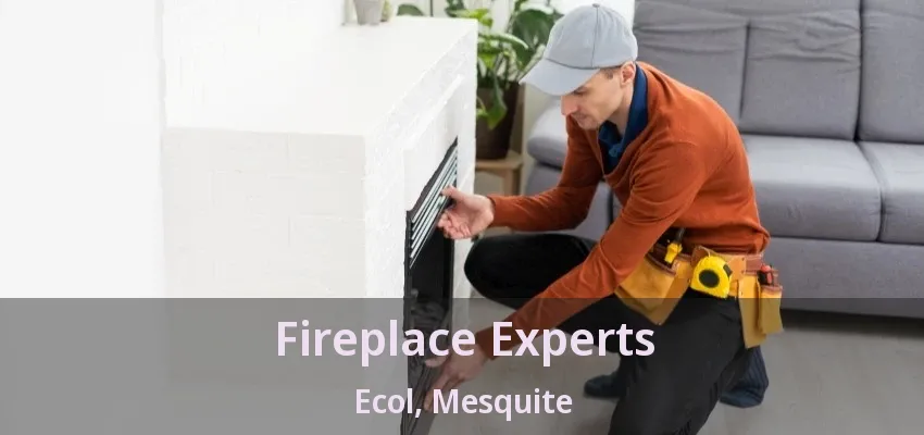 Fireplace Experts Ecol, Mesquite - TX