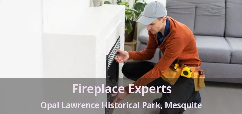 Fireplace Experts Opal Lawrence Historical Park, Mesquite - TX