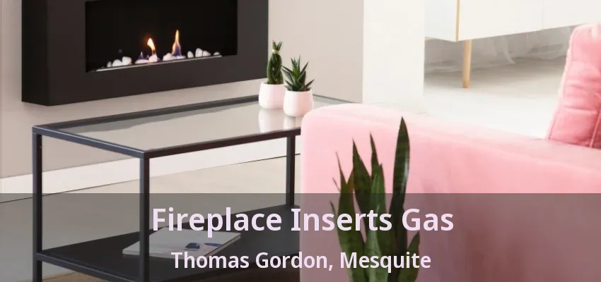 Fireplace Inserts Gas Thomas Gordon, Mesquite - TX