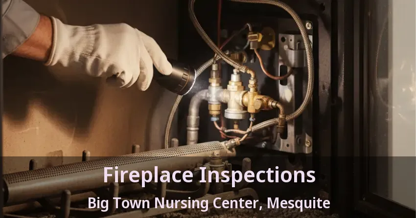 Fireplace Inspections Big Town Nursing Center, Mesquite - TX