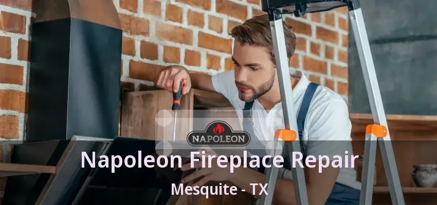 Napoleon Fireplace Repair Mesquite - TX