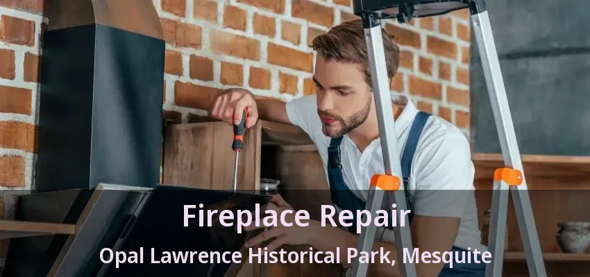 Fireplace Repair Opal Lawrence Historical Park, Mesquite - TX