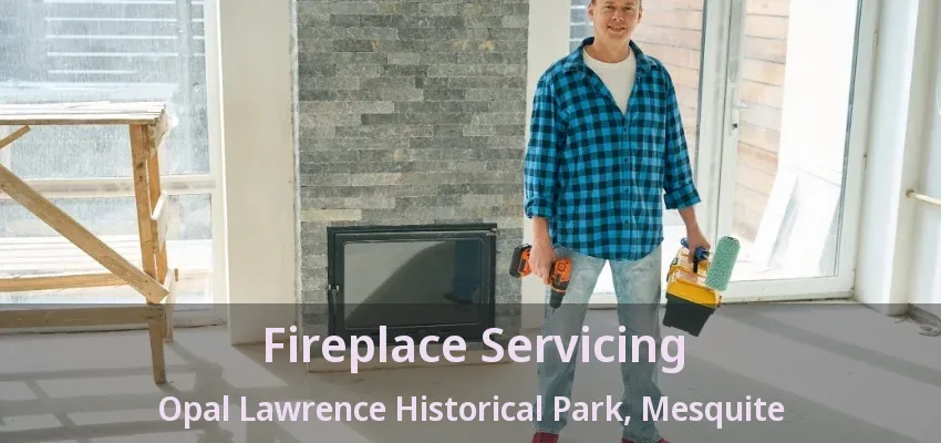 Fireplace Servicing Opal Lawrence Historical Park, Mesquite - TX