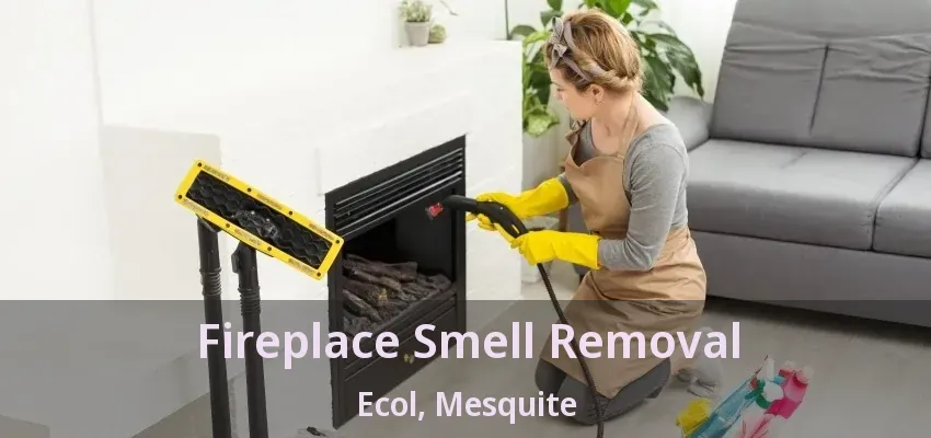 Fireplace Smell Removal Ecol, Mesquite - TX