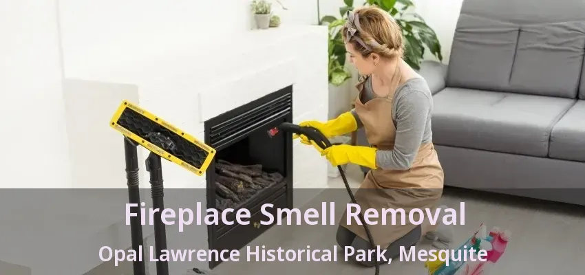 Fireplace Smell Removal Opal Lawrence Historical Park, Mesquite - TX