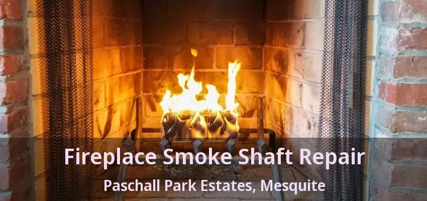 Fireplace Smoke Shaft Repair Paschall Park Estates, Mesquite - TX