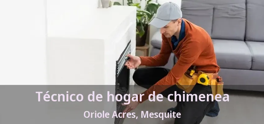 Técnico de hogar de chimenea Oriole Acres, Mesquite - TX