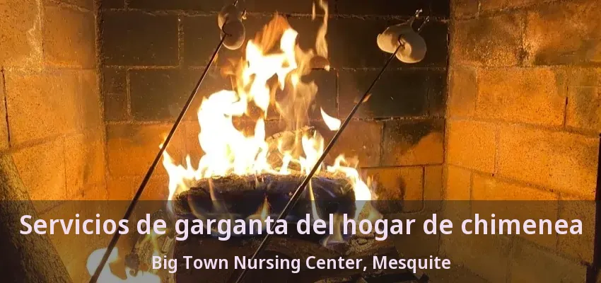 Servicios de garganta del hogar de chimenea Big Town Nursing Center, Mesquite - TX