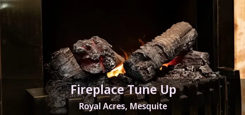 Fireplace Tune Up Royal Acres, Mesquite - TX
