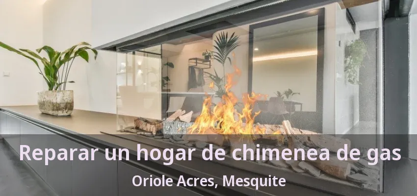 Reparar un hogar de chimenea de gas Oriole Acres, Mesquite - TX