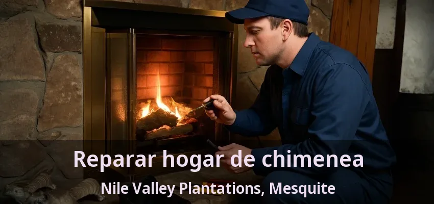 Reparar hogar de chimenea Nile Valley Plantations, Mesquite - TX