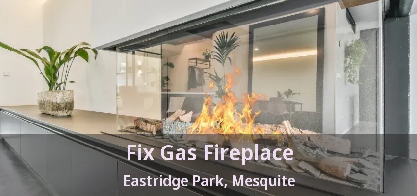 Fix Gas Fireplace Eastridge Park, Mesquite - TX