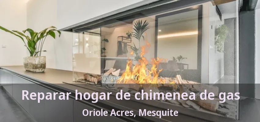 Reparar hogar de chimenea de gas Oriole Acres, Mesquite - TX