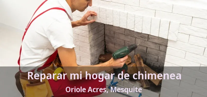 Reparar mi hogar de chimenea Oriole Acres, Mesquite - TX