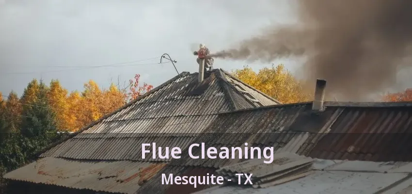 Flue Cleaning Mesquite - TX