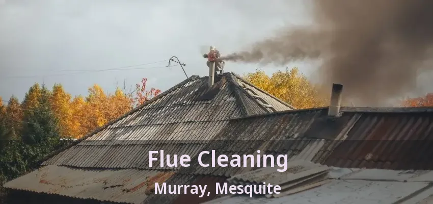 Flue Cleaning Murray, Mesquite - TX