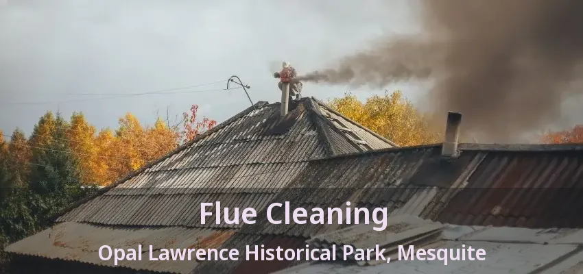 Flue Cleaning Opal Lawrence Historical Park, Mesquite - TX