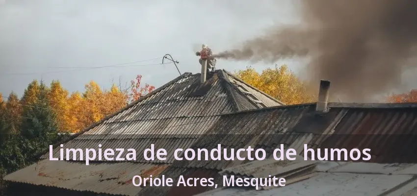 Limpieza de conducto de humos Oriole Acres, Mesquite - TX