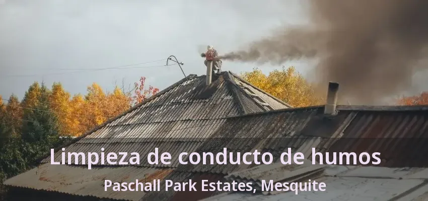 Limpieza de conducto de humos Paschall Park Estates, Mesquite - TX Limpieza de conducto de humos Paschall Park Estates, Mesquite - TX