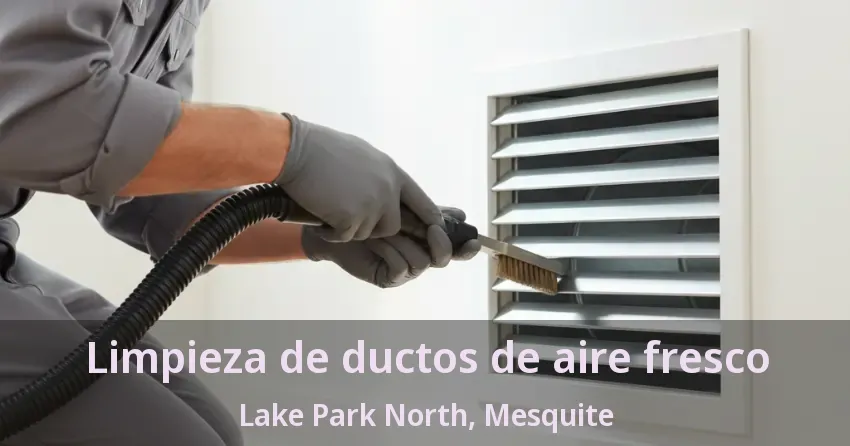 Limpieza de ductos de aire fresco Lake Park North, Mesquite - TX