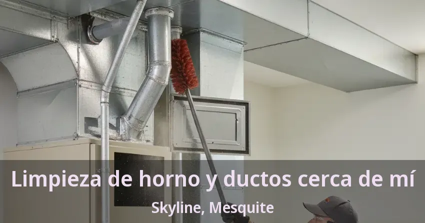 Limpieza de horno y ductos cerca de mí Skyline, Mesquite - TX