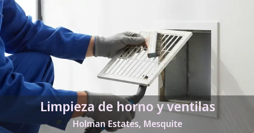 Limpieza de horno y ventilas Holman Estates, Mesquite - TX