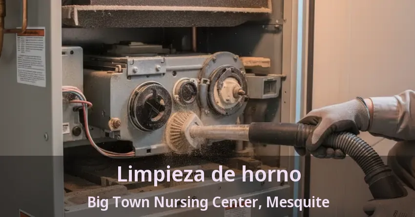 Limpieza de horno Big Town Nursing Center, Mesquite - TX Limpieza de horno Big Town Nursing Center, Mesquite - TX