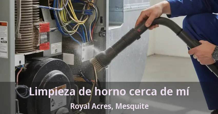 Limpieza de horno cerca de mí Royal Acres, Mesquite - TX