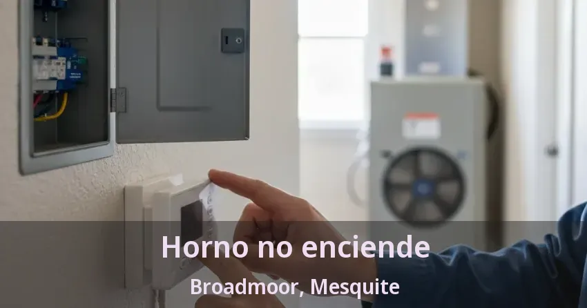 Horno no enciende Broadmoor, Mesquite - TX