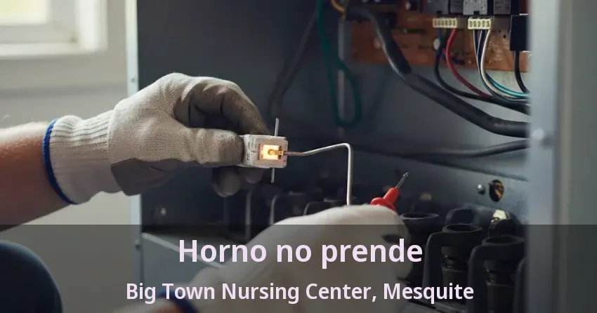 Horno no prende Big Town Nursing Center, Mesquite - TX