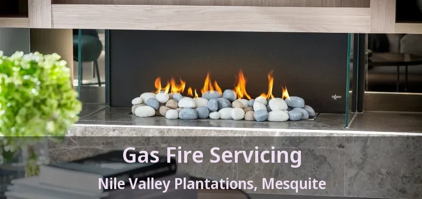 Gas Fire Servicing Nile Valley Plantations, Mesquite - TX