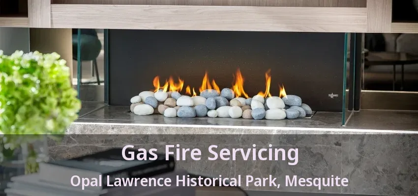 Gas Fire Servicing Opal Lawrence Historical Park, Mesquite - TX