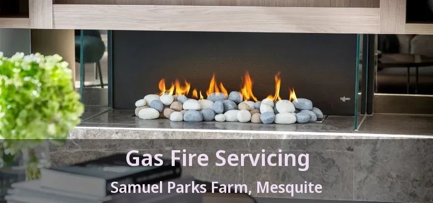 Gas Fire Servicing Samuel Parks Farm, Mesquite - TX