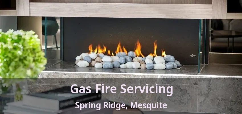 Gas Fire Servicing Spring Ridge, Mesquite - TX