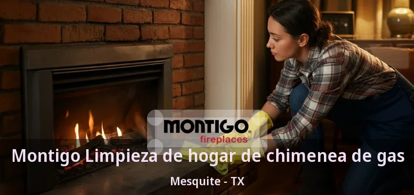 Montigo Limpieza de hogar de chimenea de gas Mesquite - TX