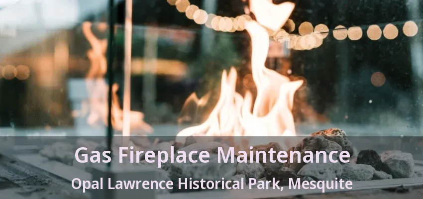 Gas Fireplace Maintenance Opal Lawrence Historical Park, Mesquite - TX