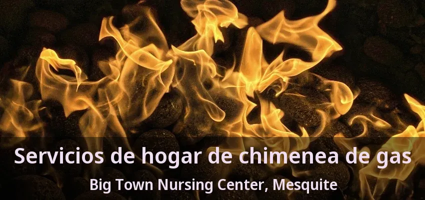 Servicios de hogar de chimenea de gas Big Town Nursing Center, Mesquite - TX
