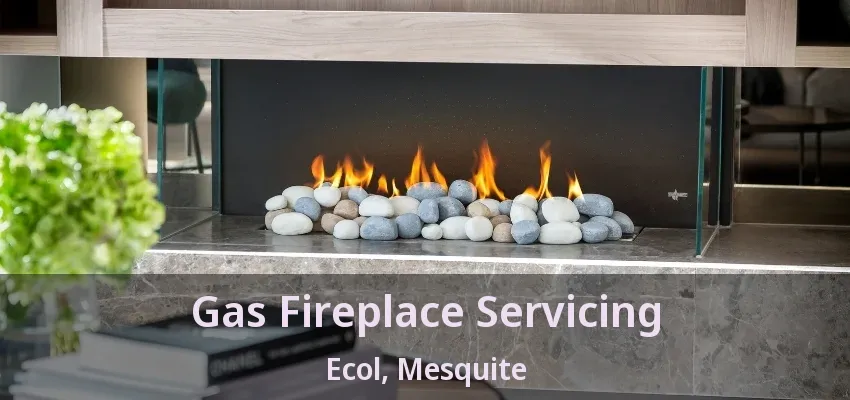Gas Fireplace Servicing Ecol, Mesquite - TX