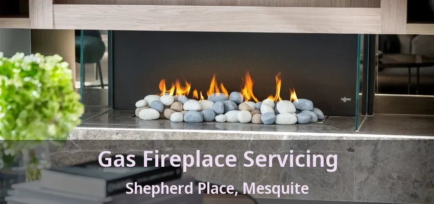 Gas Fireplace Servicing Shepherd Place, Mesquite - TX